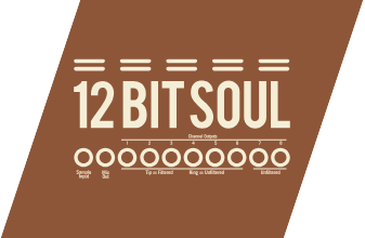 12 Bit Soul