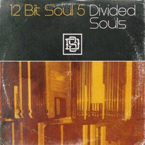 12 Bit Soul Volume 5 – Divided Souls