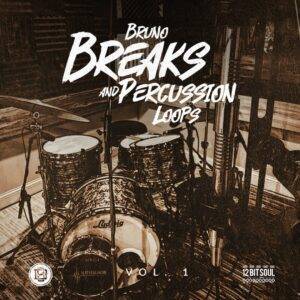 DSE Bruno Breaks and Percussion Loops