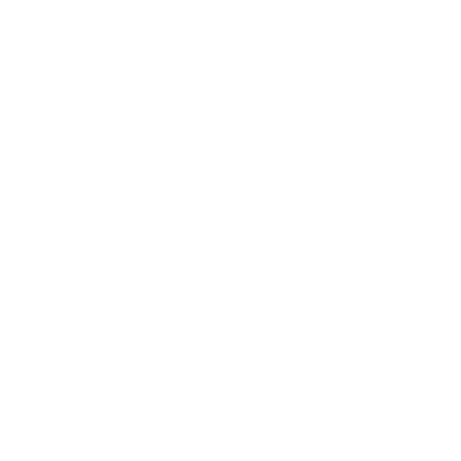 12 bit soul Logo 512x512